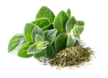 Oregano oil benefits, supplements, Natural remedies, Antimicrobial properties, Antioxidant supplements, Digestive health supplements, respiratory, skin, Holistic benefits, Dietary supplements, Herbal remedies