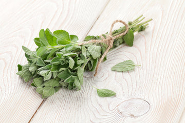 oregano antimicrobial carvacrol thymol