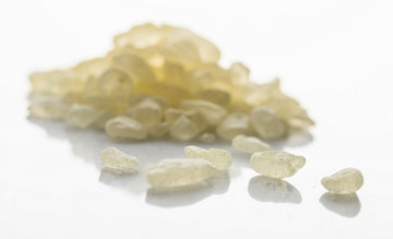 Mastic Gum and Digestive Health: Natural Relief for Stomach Issues