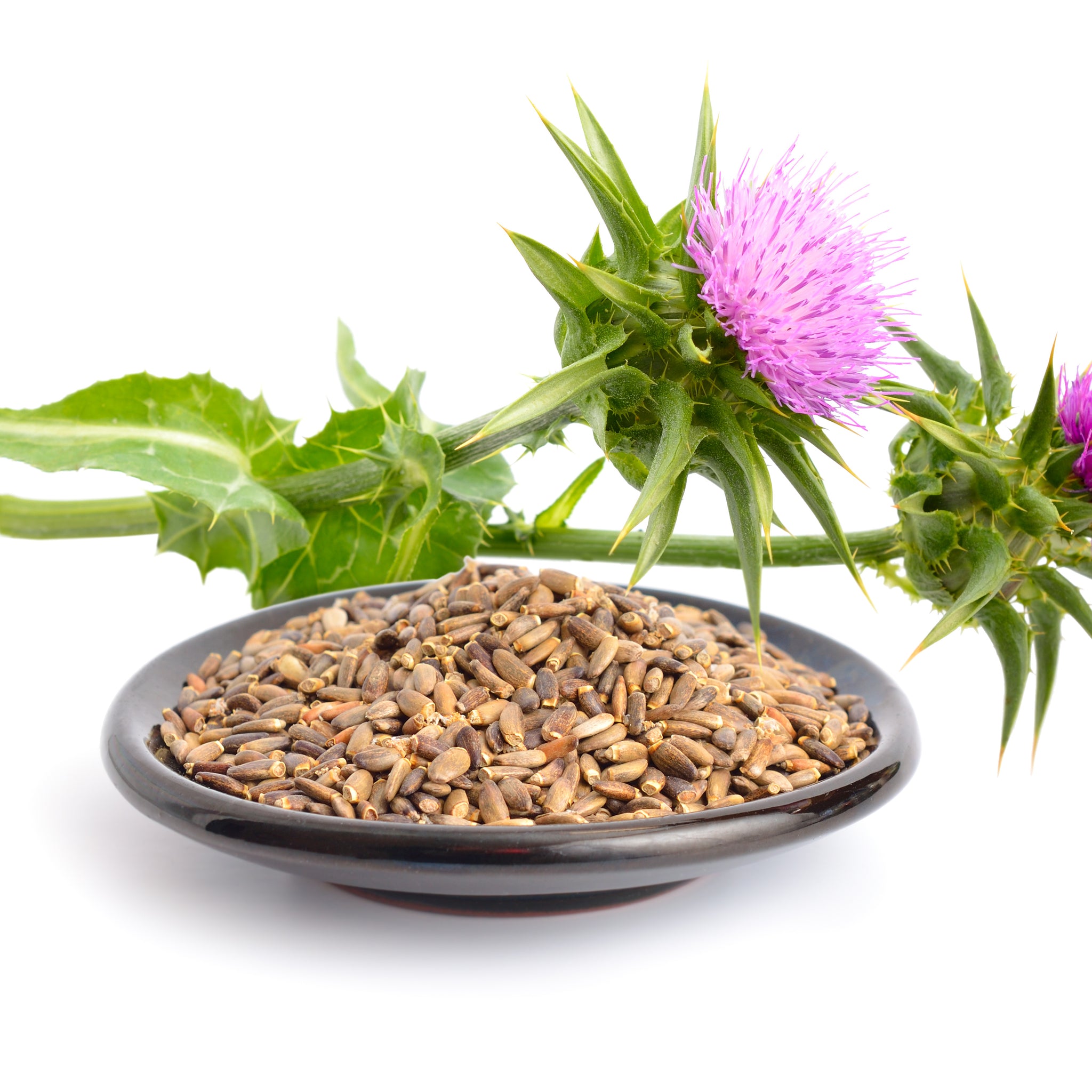 milk thistle detox seeds supplement oil