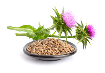 milk thistle detox seeds supplement oil